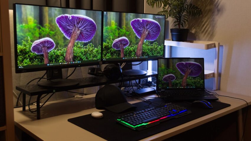 Matryca z szerokimi kątami widzenia.